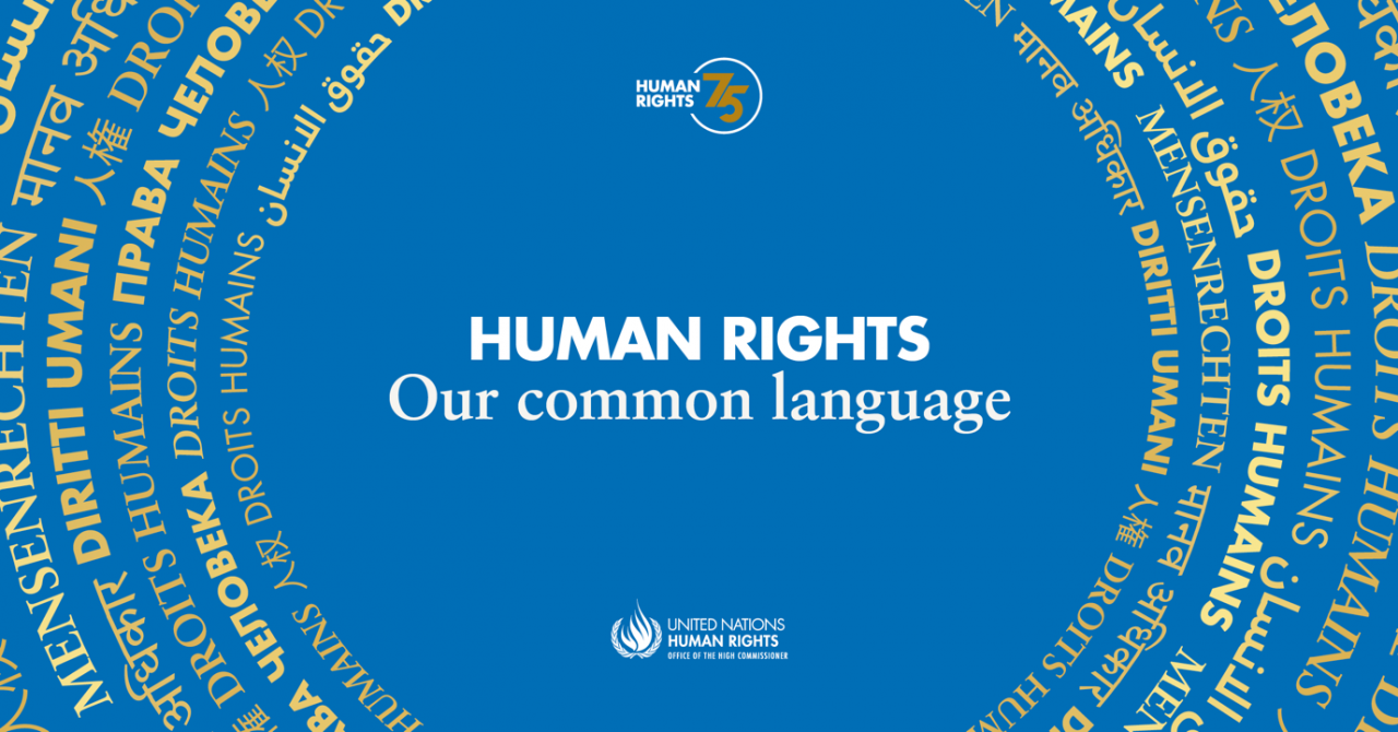 Rights for All: The Universal Declaration of Human Rights turns 75 ...