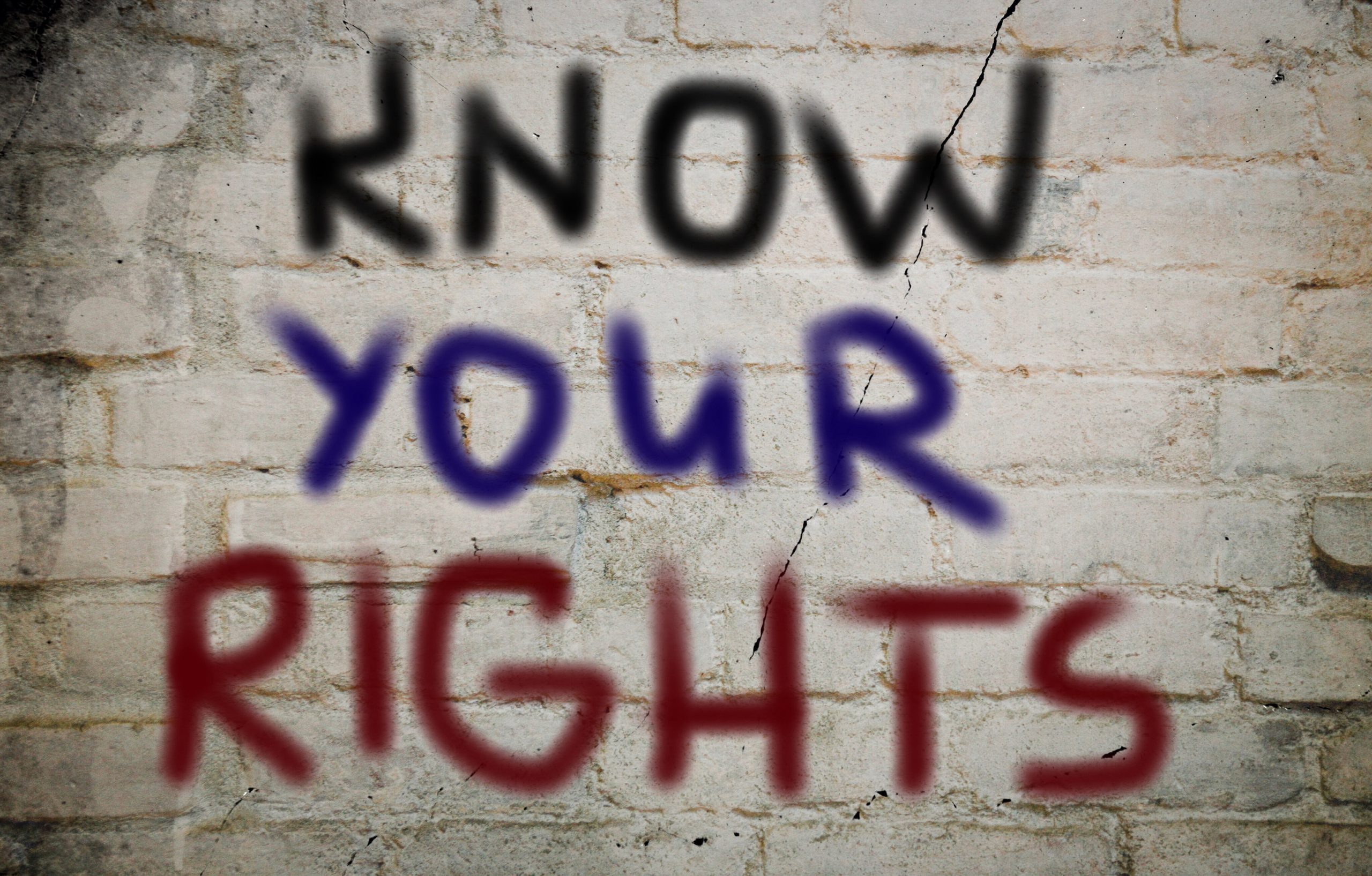 The words: Know your rights spray painted on white painted brick